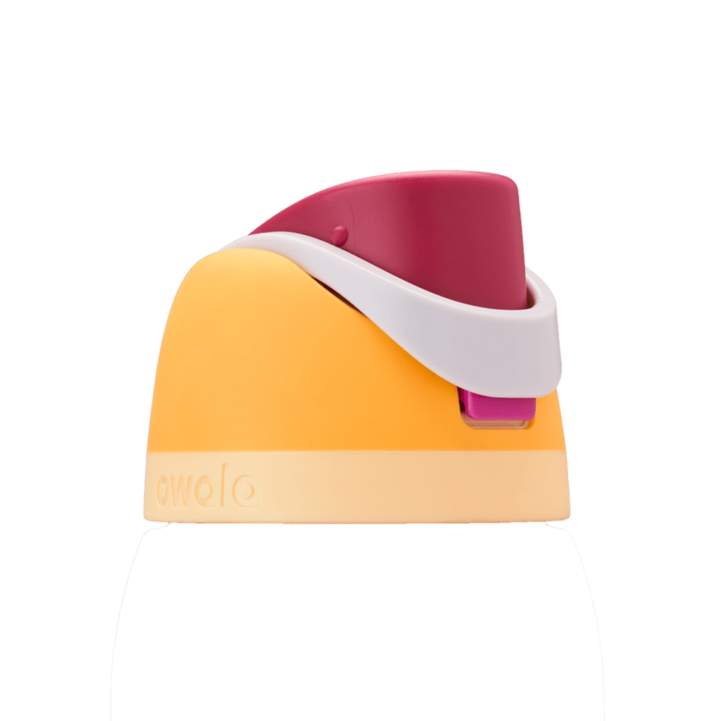 Replacement Lids